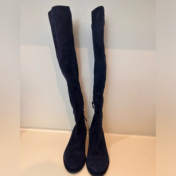 Stuart Weitzman Greer city blue suede knee high winter fall preppy long boots - Picture 2 of 10